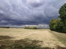 Jaune et gris